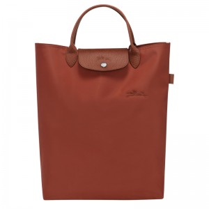Bolsa de Mão Longchamp Le Pliage Green M Tote bag Masculino Chestnut | LC-SWZI7149