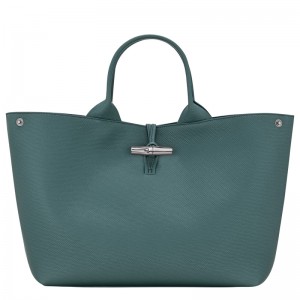 Bolsa de Mão Longchamp Le Roseau L Handbag Feminino Cedar | LC-WEMC1017