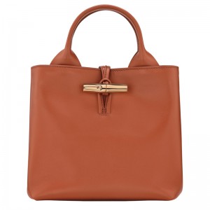 Bolsa de Mão Longchamp Le Roseau S Handbag Feminino Bark | LC-ACSH7604
