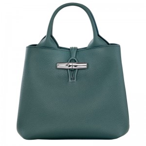 Bolsa de Mão Longchamp Le Roseau S Handbag Feminino Cedar | LC-EQAG3627