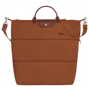 Bolsas De Viagem Longchamp Le Pliage Green Travel bag expandable Masculino Cognac | LC-CJPT5730