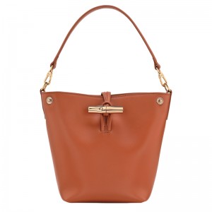 Bolsas Mini Longchamp Le Roseau XS Bucket bag Feminino Bark | LC-JWBZ9447