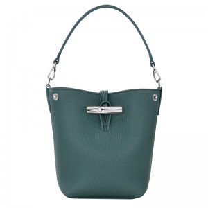 Bolsas Mini Longchamp Le Roseau XS Bucket bag Feminino Cedar | LC-JEYL9762