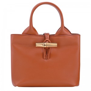 Bolsas Mini Longchamp Le Roseau XS Handbag Feminino Bark | LC-AGIK6759