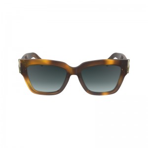 Óculos de Sol Longchamp Fall-Winter 2023 Collection Sunglasses Feminino Havana | LC-UGFJ8021