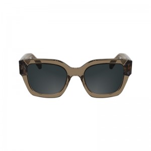 Óculos de Sol Longchamp Sunglasses Feminino Marrom | LC-ZDJV4897