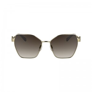 Óculos de Sol Longchamp Sunglasses Feminino Gold/Brown | LC-YDVO2999