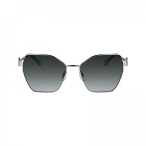 Óculos de Sol Longchamp Sunglasses Feminino Silver/Grey | LC-JVOL3355
