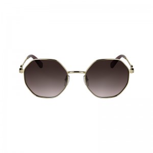 Óculos de Sol Longchamp Sunglasses Feminino Rosa | LC-SSXX3416
