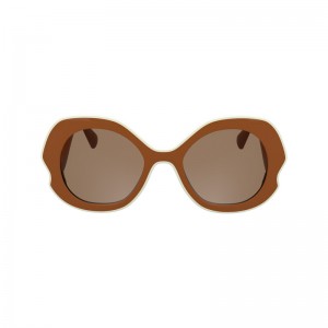 Óculos de Sol Longchamp Sunglasses Feminino Bark | LC-ICOM7872