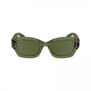 Óculos de Sol Longchamp Sunglasses Feminino Caqui | LC-UKPX4349