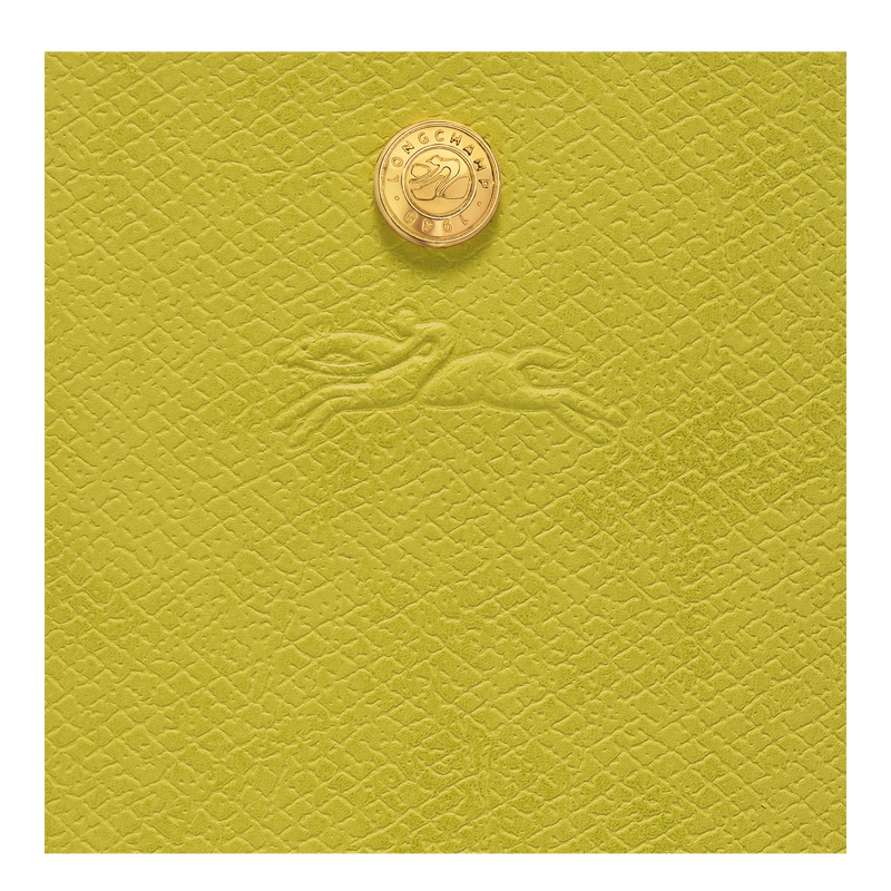 Bolsa de Mão Longchamp Épure S Bucket bag Feminino Verdes | LC-XHEF1587