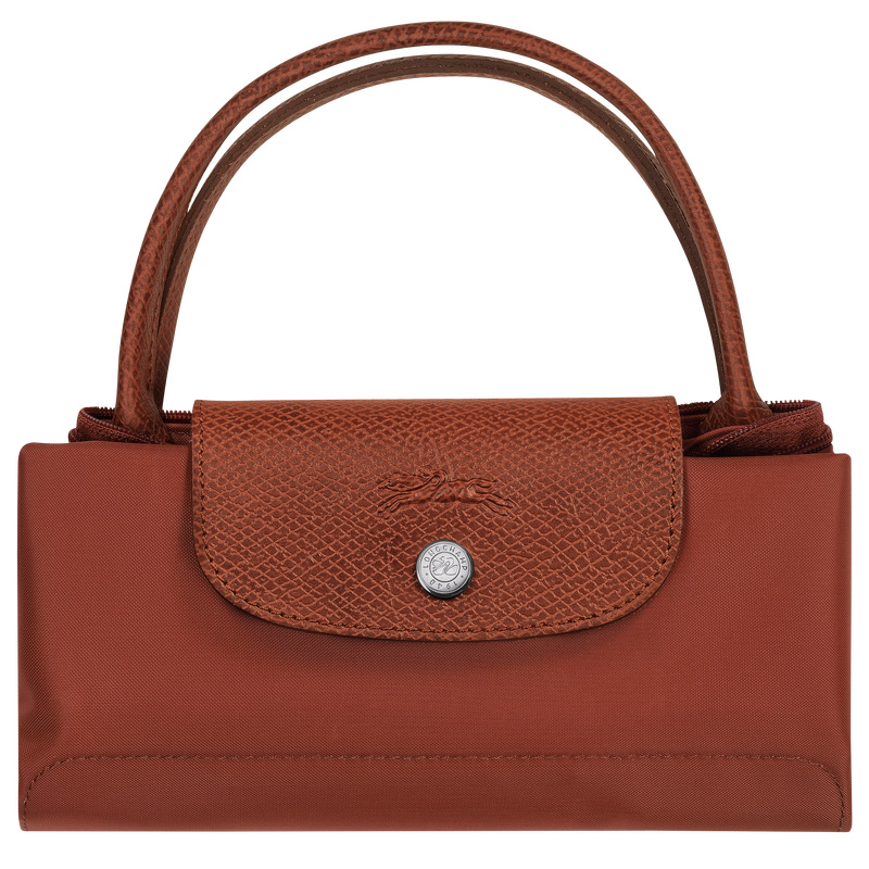 Bolsa de Mão Longchamp Le Pliage Green S Handbag Feminino Chestnut | LC-EZZW0953