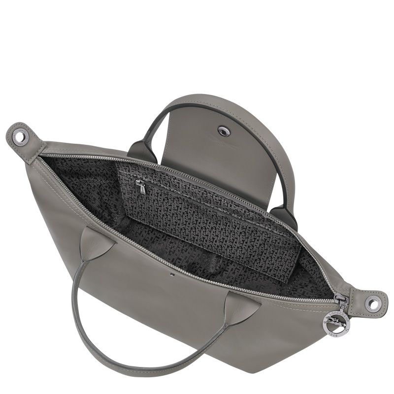 Bolsa de Mão Longchamp Le Pliage Xtra S Handbag Feminino Turtledove | LC-TMQI7497