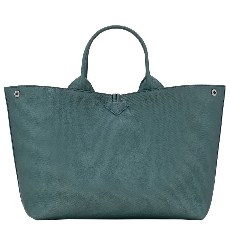 Bolsa de Mão Longchamp Le Roseau L Handbag Feminino Cedar | LC-WEMC1017