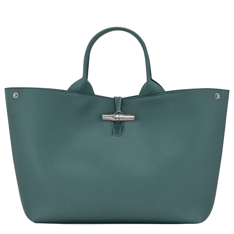 Bolsa de Mão Longchamp Le Roseau L Handbag Feminino Cedar | LC-WEMC1017