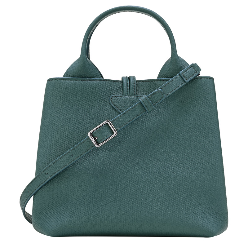Bolsa de Mão Longchamp Le Roseau S Handbag Feminino Cedar | LC-EQAG3627