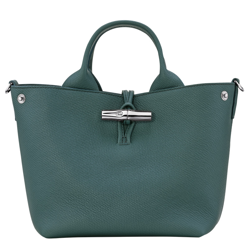 Bolsa de Mão Longchamp Le Roseau S Handbag Feminino Cedar | LC-EQAG3627