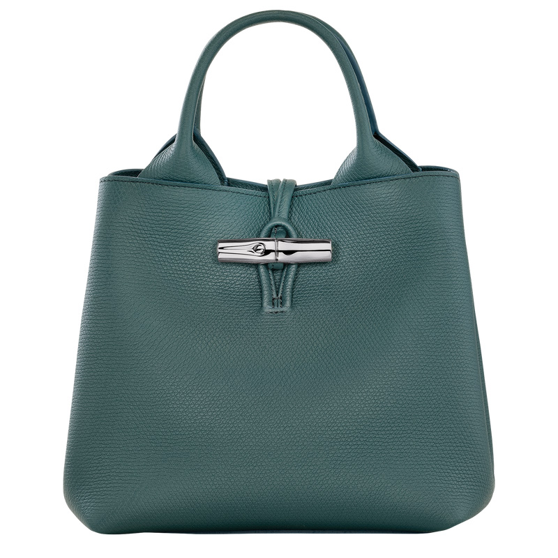 Bolsa de Mão Longchamp Le Roseau S Handbag Feminino Cedar | LC-EQAG3627