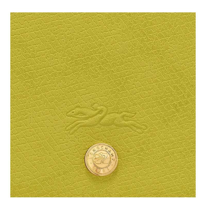 Bolsas Crossbody Longchamp Épure S Crossbody bag Feminino Verdes | LC-AWCT7405