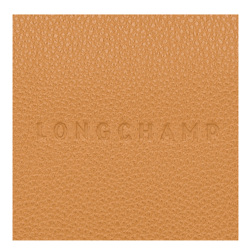 Bolsas Crossbody Longchamp Le Foulonné M Crossbody bag Feminino Walnut | LC-FHKX0348