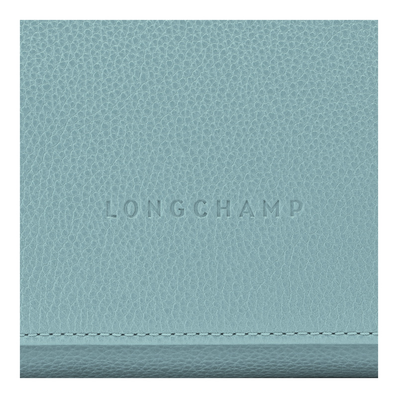 Bolsas Crossbody Longchamp Le Foulonné M Crossbody bag Feminino Eucalyptus | LC-VBPA0058