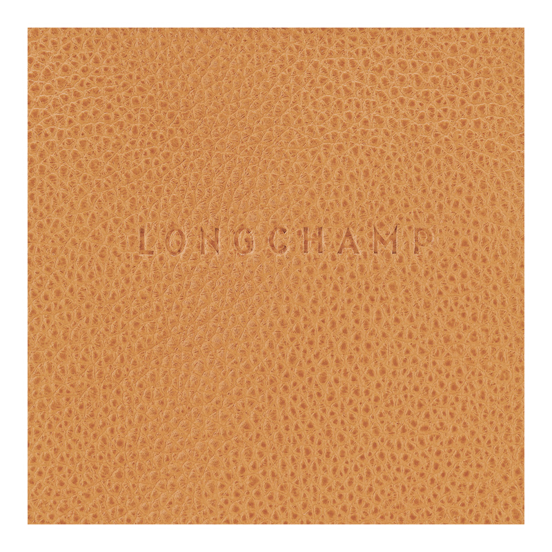Bolsas Crossbody Longchamp Le Foulonné S Crossbody bag Feminino Walnut | LC-HGBX0630