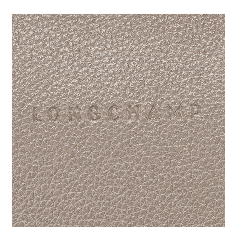 Bolsas Crossbody Longchamp Le Foulonné S Crossbody bag Feminino Turtledove | LC-XXSM6859