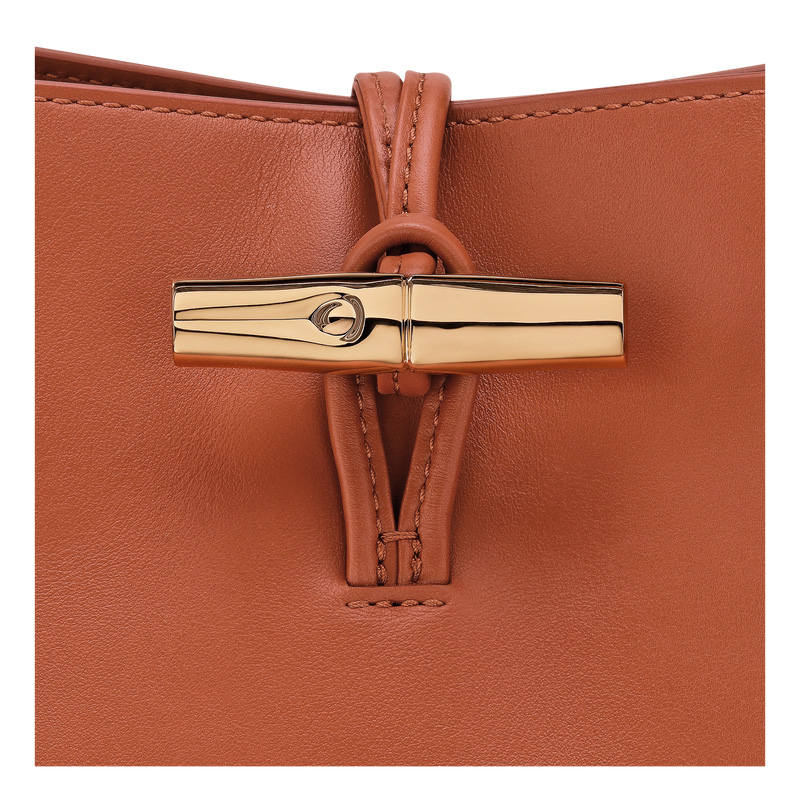 Bolsas De Ombro Longchamp Le Roseau M Hobo bag Feminino Bark | LC-JRJD2724