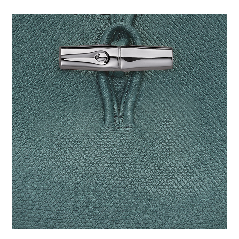 Bolsas De Ombro Longchamp Le Roseau M Shoulder bag Feminino Cedar | LC-WCHB7663