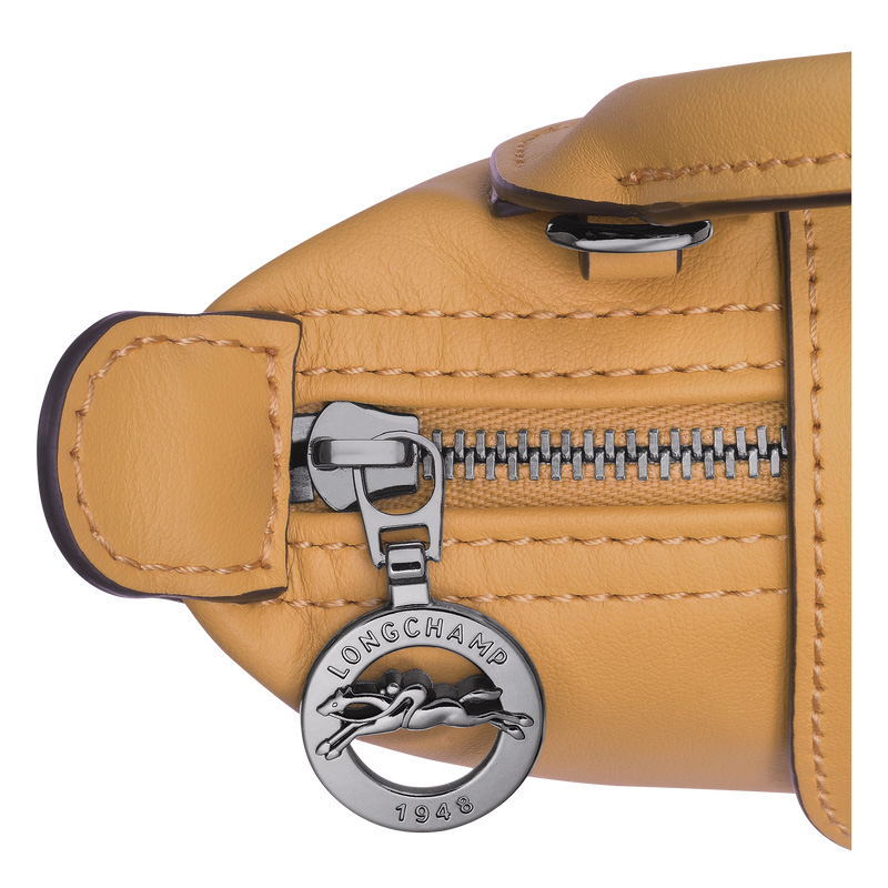 Bolsas Mini Longchamp Le Pliage Xtra XS Pouch Feminino Honey | LC-ISHU6870