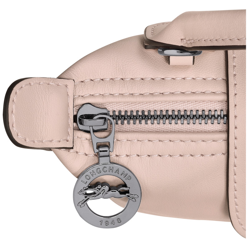 Bolsas Mini Longchamp Le Pliage Xtra XS Pouch Feminino Nude | LC-AEFX6149