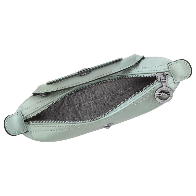 Bolsas Mini Longchamp Le Pliage Xtra XS Pouch Feminino Vervain | LC-GCZY7533