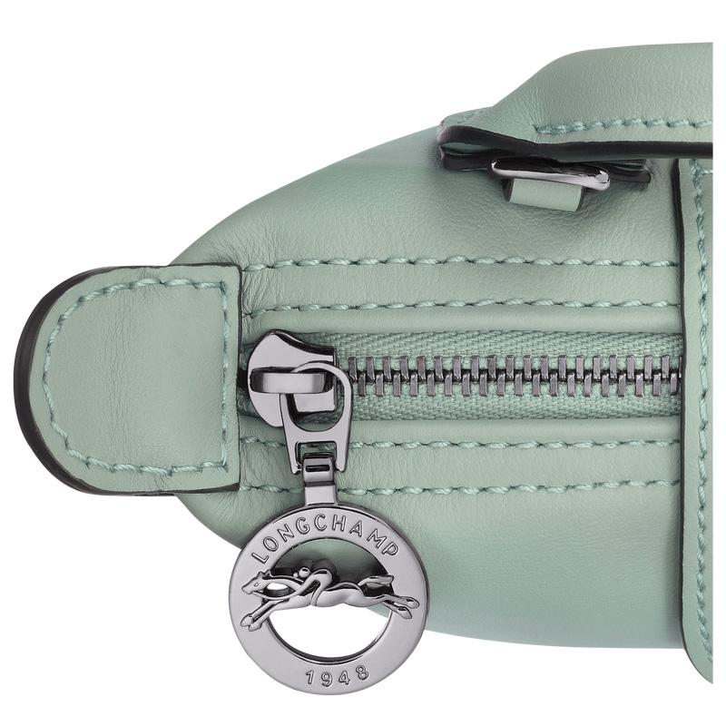 Bolsas Mini Longchamp Le Pliage Xtra XS Pouch Feminino Vervain | LC-GCZY7533