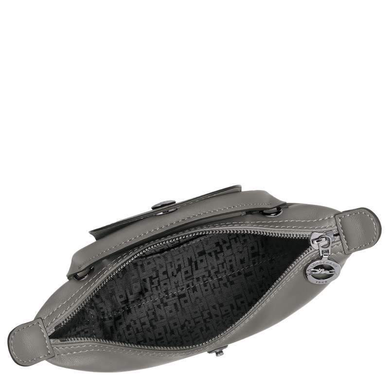Bolsas Mini Longchamp Le Pliage Xtra XS Pouch Feminino Turtledove | LC-XRXG0964