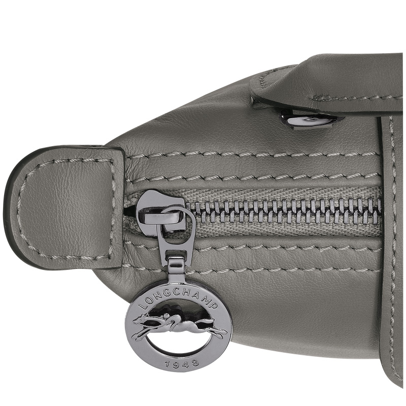 Bolsas Mini Longchamp Le Pliage Xtra XS Pouch Feminino Turtledove | LC-XRXG0964