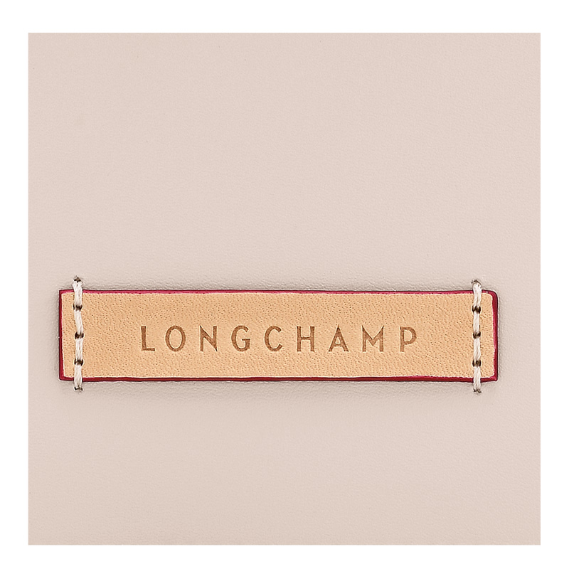 Bolsas Mini Longchamp Le Pliage Xtra XS Tote bag Feminino Paper | LC-SZCH9663