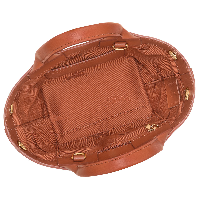 Bolsas Mini Longchamp Le Roseau XS Handbag Feminino Bark | LC-AGIK6759