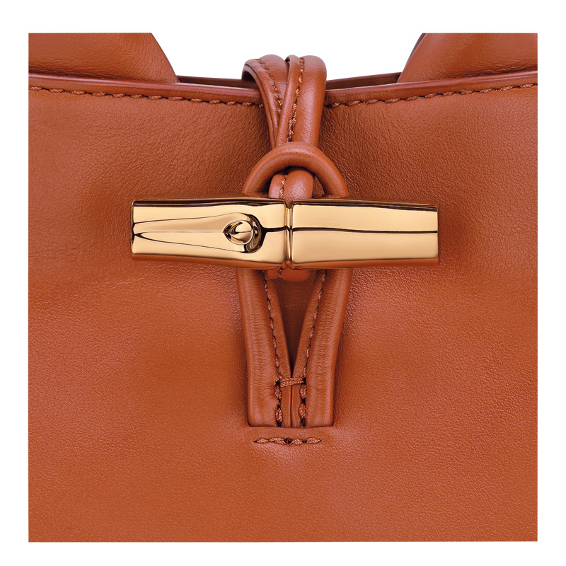 Bolsas Mini Longchamp Le Roseau XS Handbag Feminino Bark | LC-AGIK6759