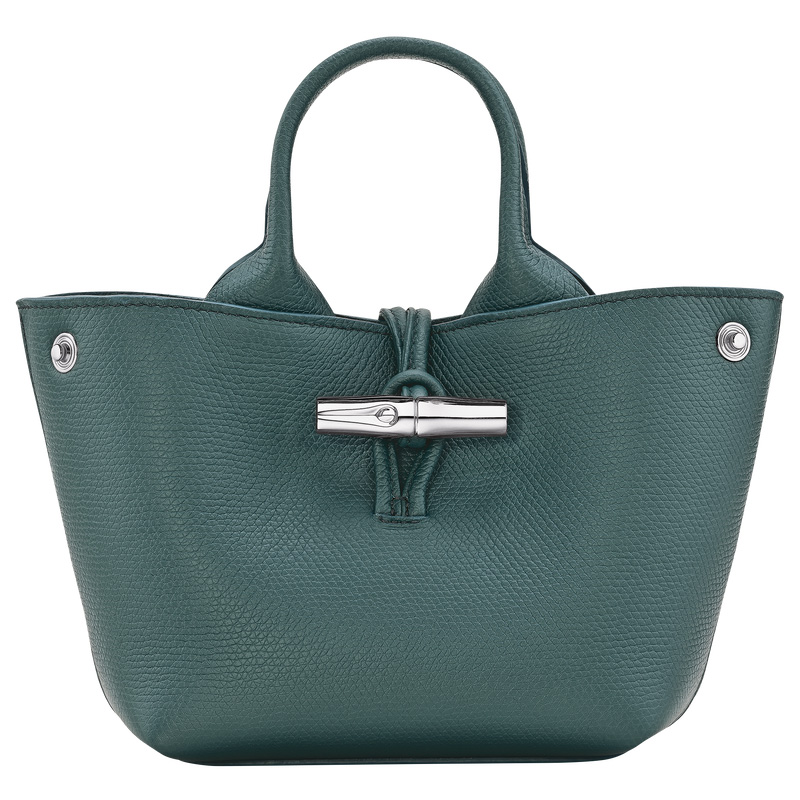 Bolsas Mini Longchamp Le Roseau XS Handbag Feminino Cedar | LC-PBNT1893