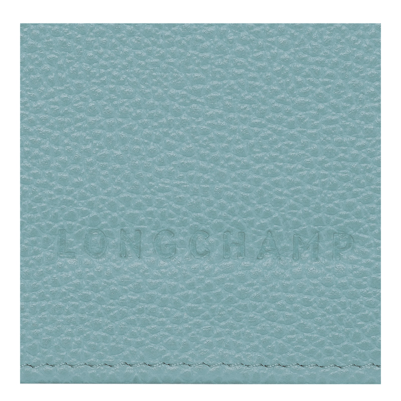 Carteiras Longchamp Le Foulonné Continental wallet Feminino Eucalyptus | LC-AWAW9622