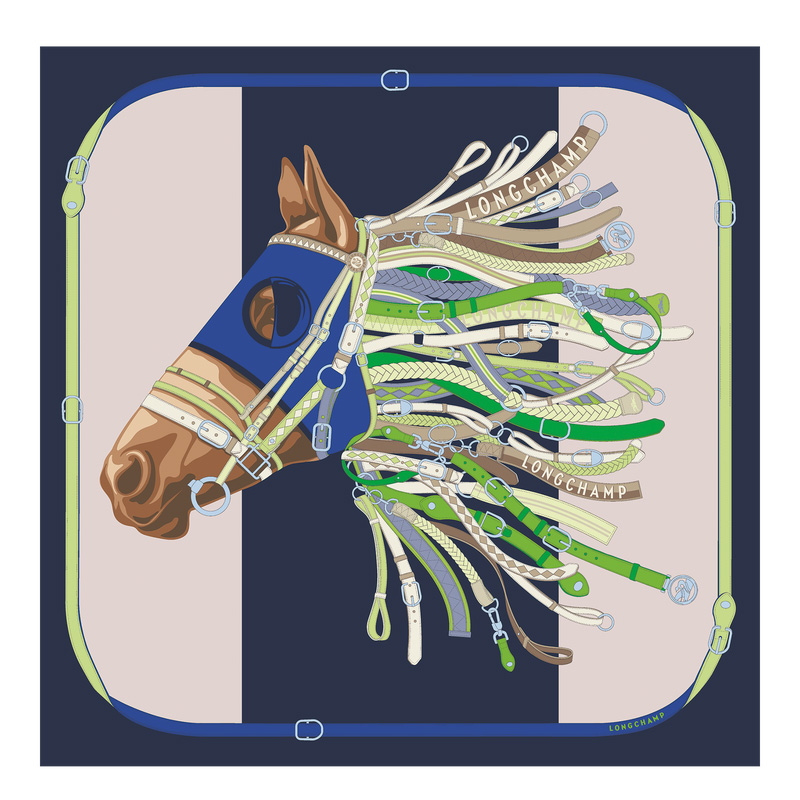 Lenços Longchamp Tête de cheval Silk scarf 90 Feminino Azul Marinho | LC-CJUI0656
