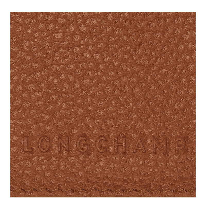Pouches Longchamp Le Foulonné Passport cover Masculino Caramel | LC-IKNE5322