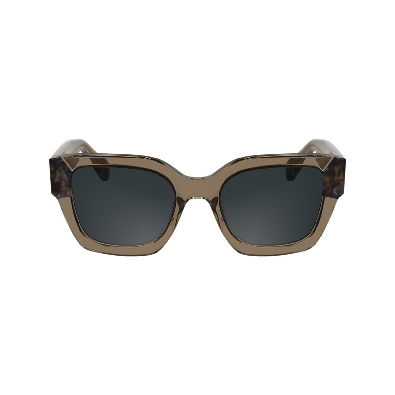 Óculos de Sol Longchamp Sunglasses Feminino Marrom | LC-ZDJV4897