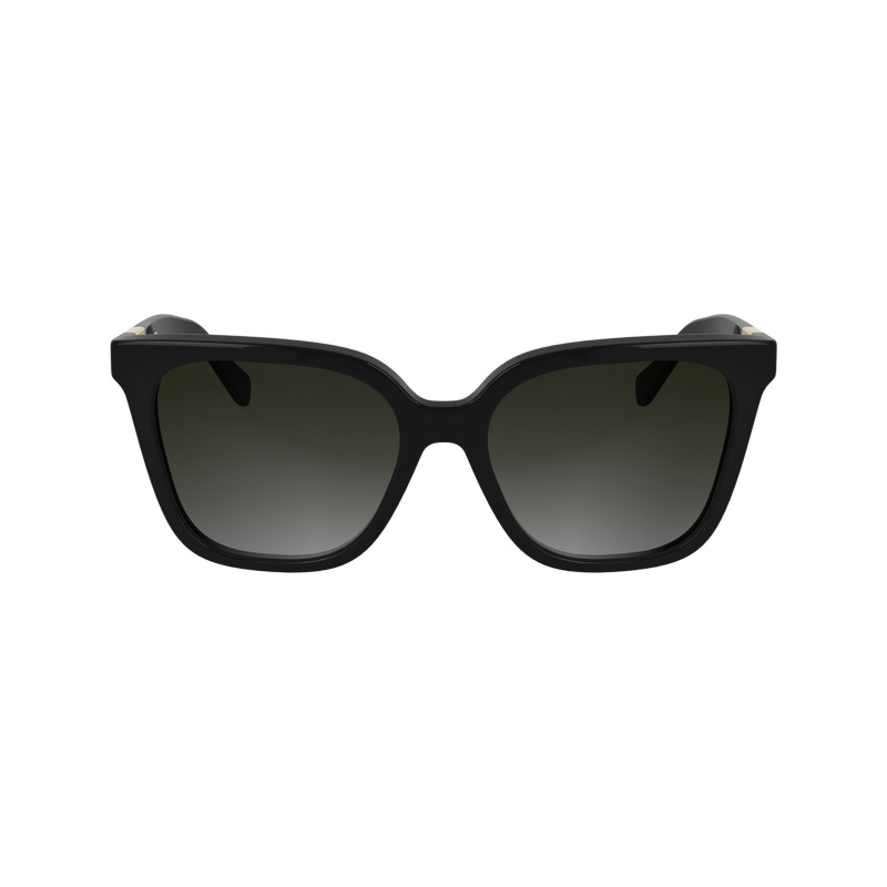 Óculos de Sol Longchamp Sunglasses Feminino Pretas | LC-FBYU0914
